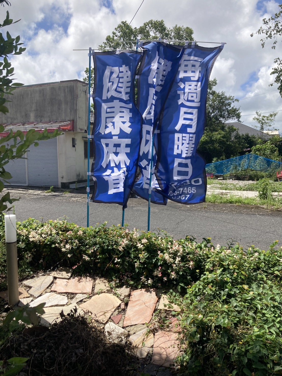 健康麻雀